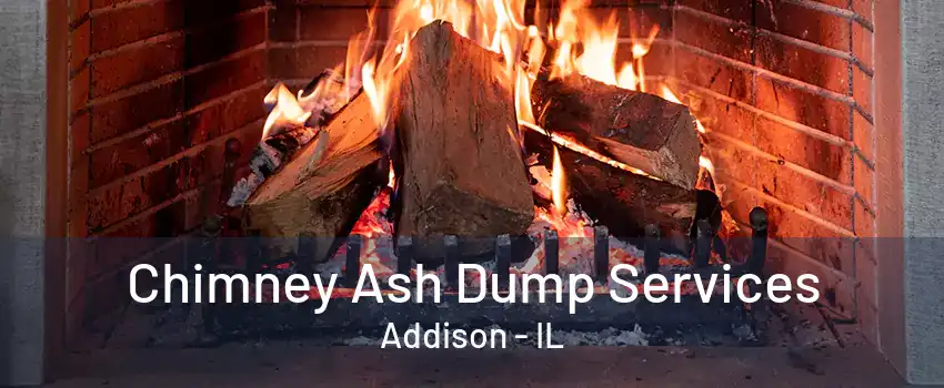  Chimney Ash Dump Services Addison - IL